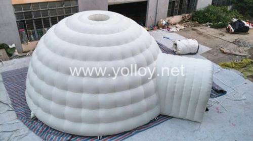 product-268-150 product-268-150
