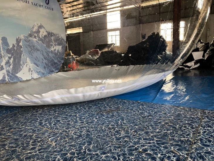 Snow globe for reference 5